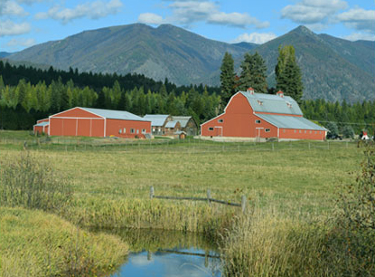 Stunning views of the majestic mountains and meadows.